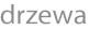 drzewa